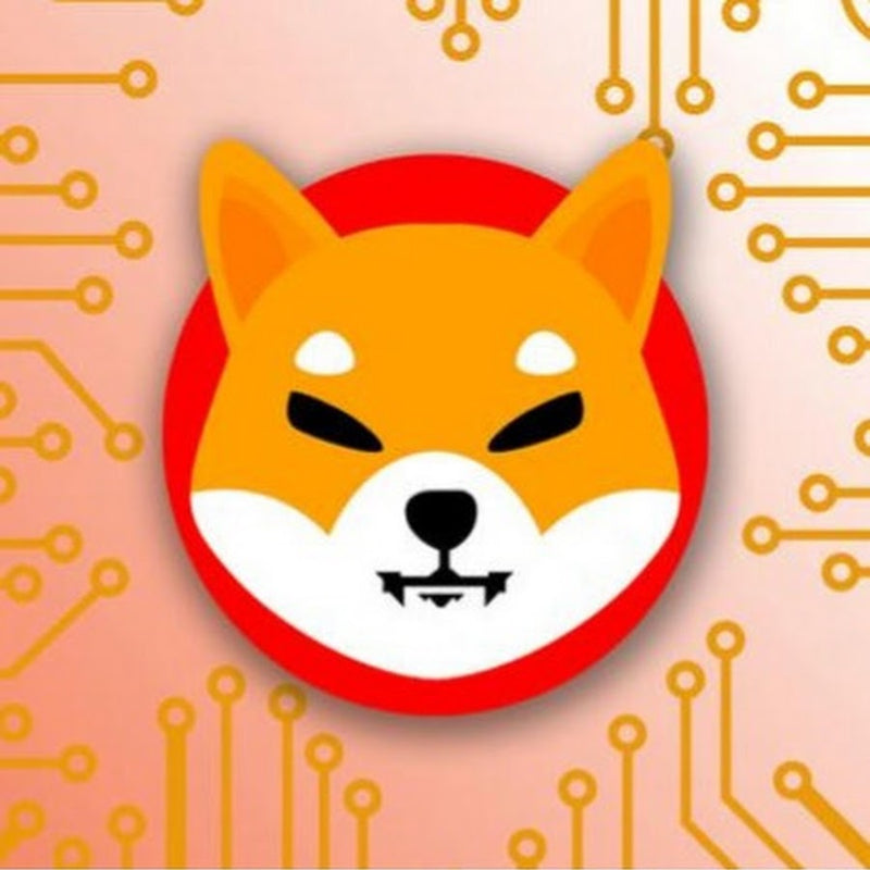 What Is Shiba Inu Coin and Why Is It So Popular in 2025?
