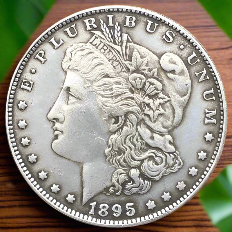 1895 USA Morgan Dollar Coin 