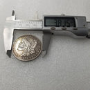 1878 Hobo Nickel Skull  Morgan Dollar