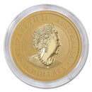 australian Gold, Kangaroo Gold Coin,  Kangaroo Gold, buy australian gold, australian gold kit, australian gold tinted spf, australian tanning, australian gold accelerator dark tanning, aussie gold sun lotion,