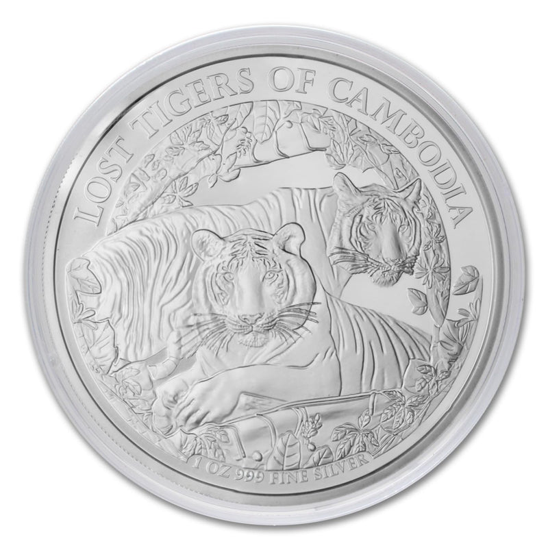 Cambodia Silver, Cambodia Coin, Tigers Coin, cambodia silver pagoda, phnom penh silver pagoda, silver pagoda cambodia, silver pagoda phnom penh cambodia, cambodia coin, coins from cambodia, pagoda phnom penh, phnom penh pagoda,