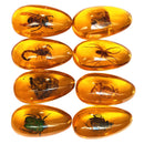 crystal, swarovski bracelet, swarovski crystals, crystal necklace, healing crystals, swarovski rings, crystal bracelets, citrine ring, crystal shop, aquamarine stone, swarovski tennis bracelet, swarovski ornament 2022, crystal jewelry, crystal shops near me, rose quartz,