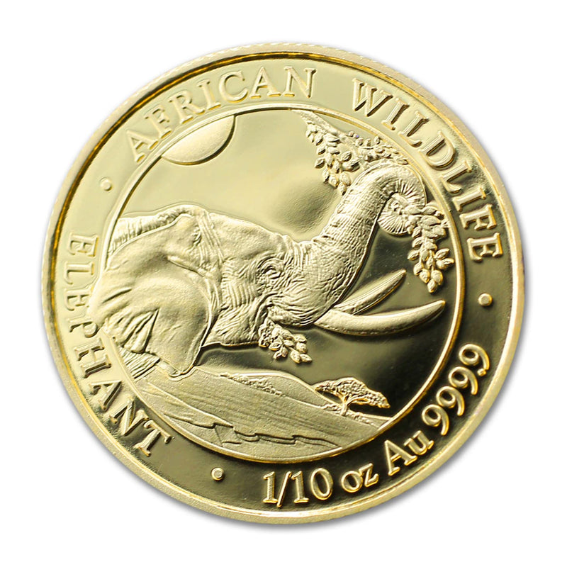  Somalian Gold Elephant, Somalian Gold, Somalian Coin Gold, Elephant Coin Gold, Somalian Gold, gold elephant, elephant with gold, elephant gold, gold elephant coin,