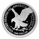2024 Coin, 2024 Silver, 2024 Eagle, silver eagle, silver dollar prices, silver bullion for sale, silver eagle coins, silver eagles for sale, 2023 silver eagle, american silver eagle, american eagle silver dollar, silver eagle price, 2023 american silver eagle, american eagle coin,