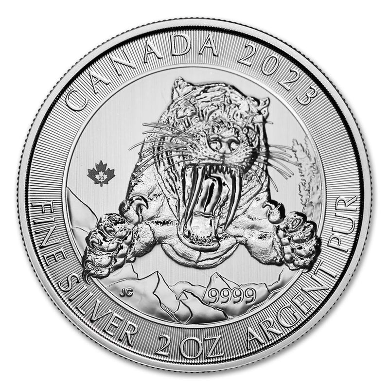 Silver Price Canada, Cost Of Silver In Canada, Price For Silver In Canada, Buy Silver Canada, Canadian Silver Maple Leaf, Silver Coins Canada, Canadian Silver Coins, 1 Oz Silver Price Canada, Canadian Silver Dollar,