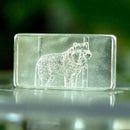 wolf silver, wolf bar, bar wolf, red wolf bar,