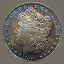1895 O Morgan Silver Dollar Coin