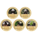 Panda Gold, Panda Coin, gold panda coin, panda coins, chinese gold panda coin, gold pandas, gold china panda coins, gold coin with panda, gold coin with panda bear, panda gold, 1 oz gold panda, 1 10 oz gold panda, 1 oz panda gold coin,